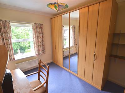 Picture 20